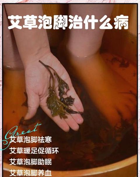 艾叶泡脚适用人群盘点：这些人群不适合哦