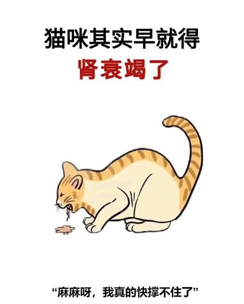 猫不吃不喝精神萎靡