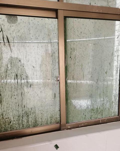 水泥弄到玻璃怎么洗掉