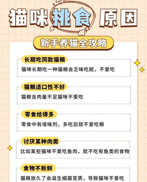 猫挑食猫粮对策全解析