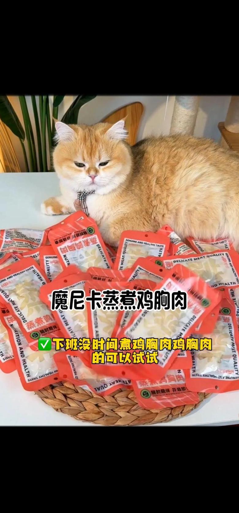 猫食鸡胸肉：生熟之辨与营养补充指南