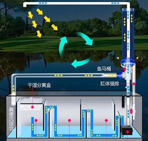 鱼池循环水系统制作指南