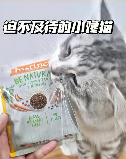 猫咪咬食猫粮袋原因及处理方法解析