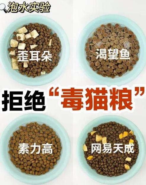 猫咪偏食猫条不吃猫粮？这5招帮你解决！