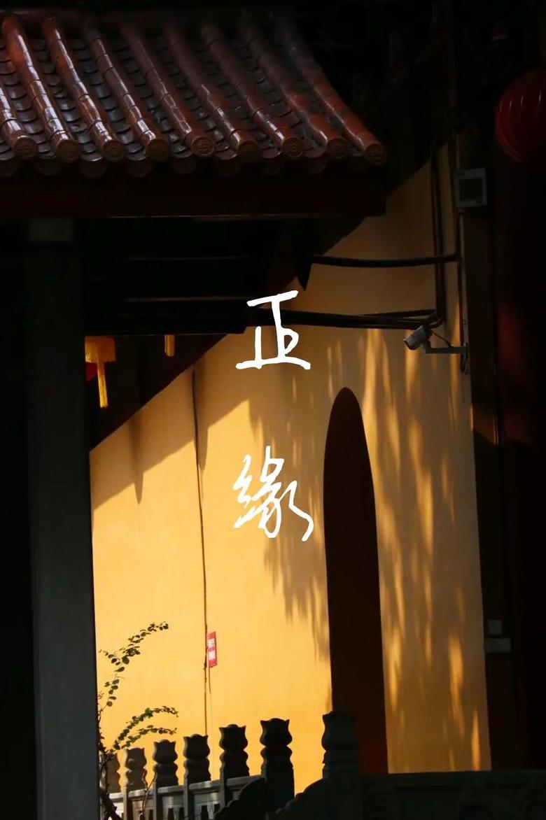 八字桃花数量揭秘：内桃花与正缘桃花的含义
