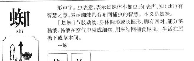 蜘字的组词