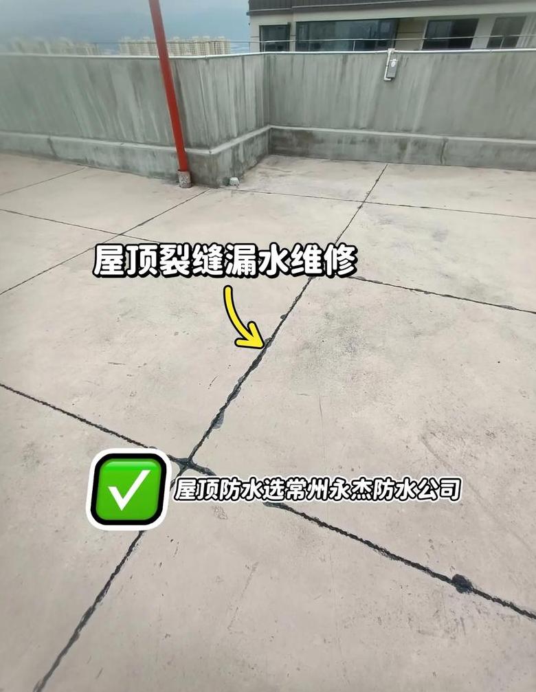 平房屋顶漏水修复技巧全解析