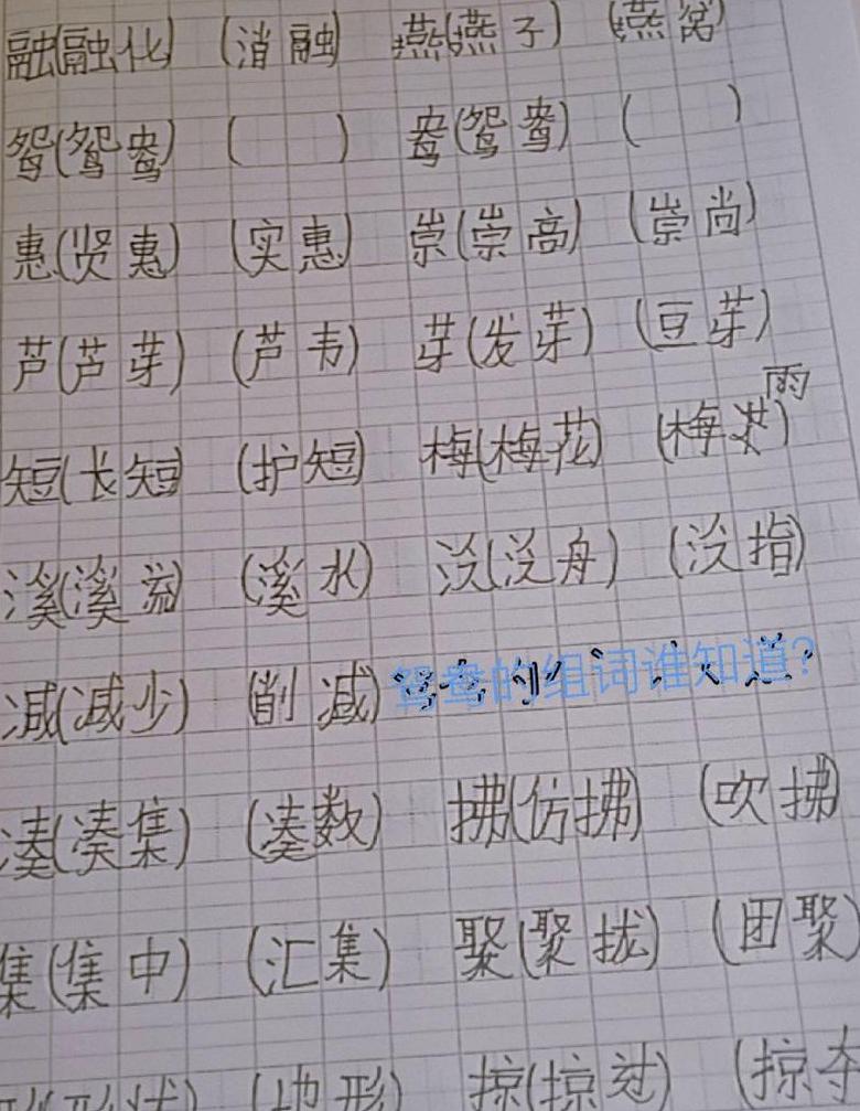 鸳鸯可以组什么词语