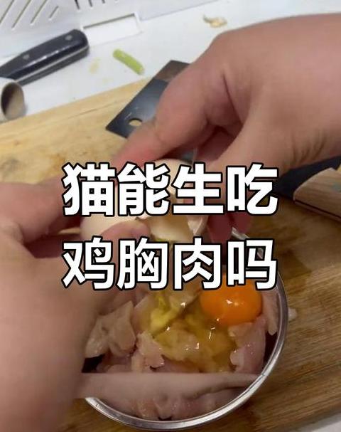 猫吃鸡胸肉的好处和坏处