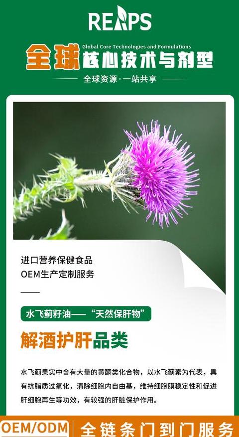 喝酒伤肝怎么办？水飞蓟补充作用大揭秘