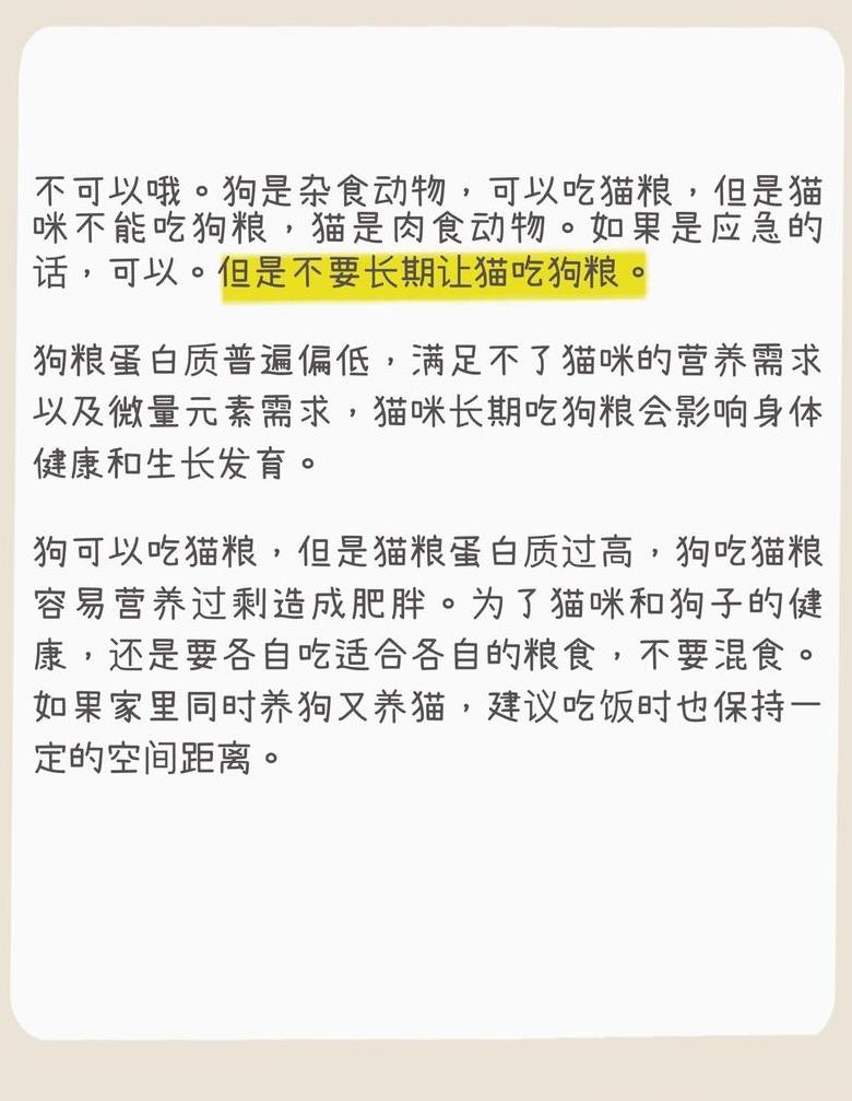 猫咪不吃猫粮的原因及应对攻略