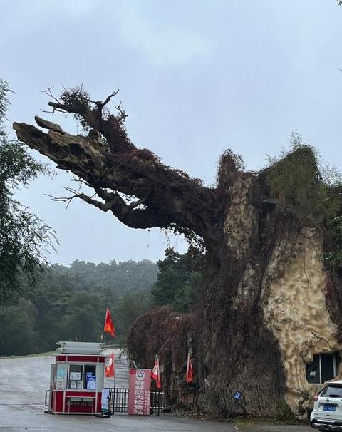 沈阳必去的三大景点沈阳森林公园