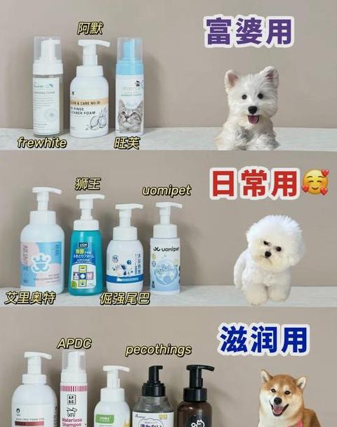 夏天狗狗洗澡频率与禁忌全解析