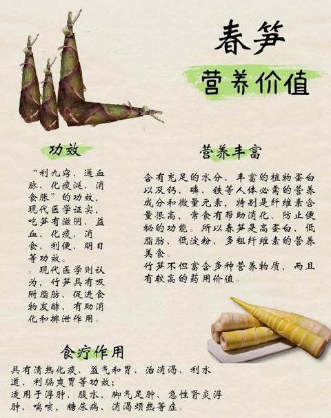 古诗中的春笋：品味千年诗意与竹韵
