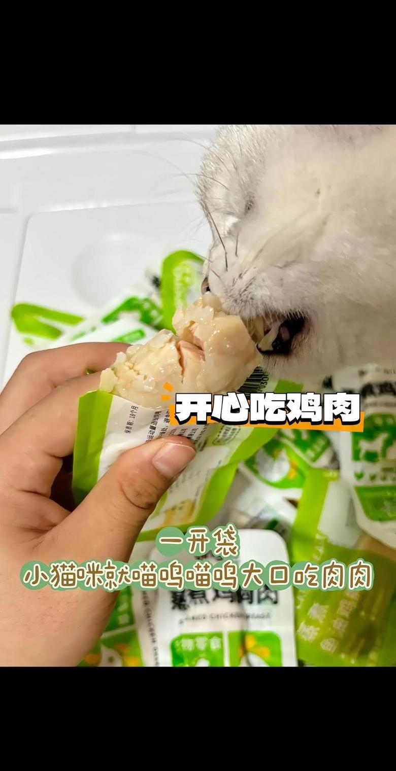 鸡胸肉煮多久给猫吃