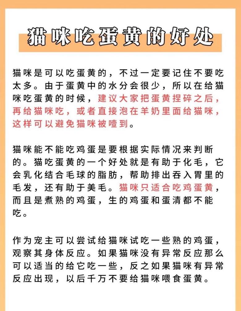 猫吃鸡蛋黄的好处和坏处