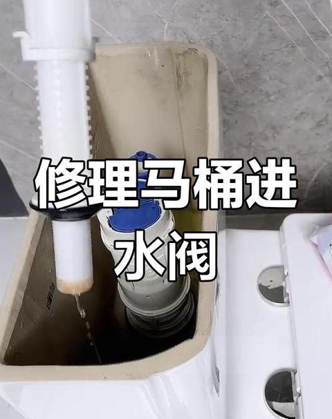 快速解决厕所水箱漏水问题攻略