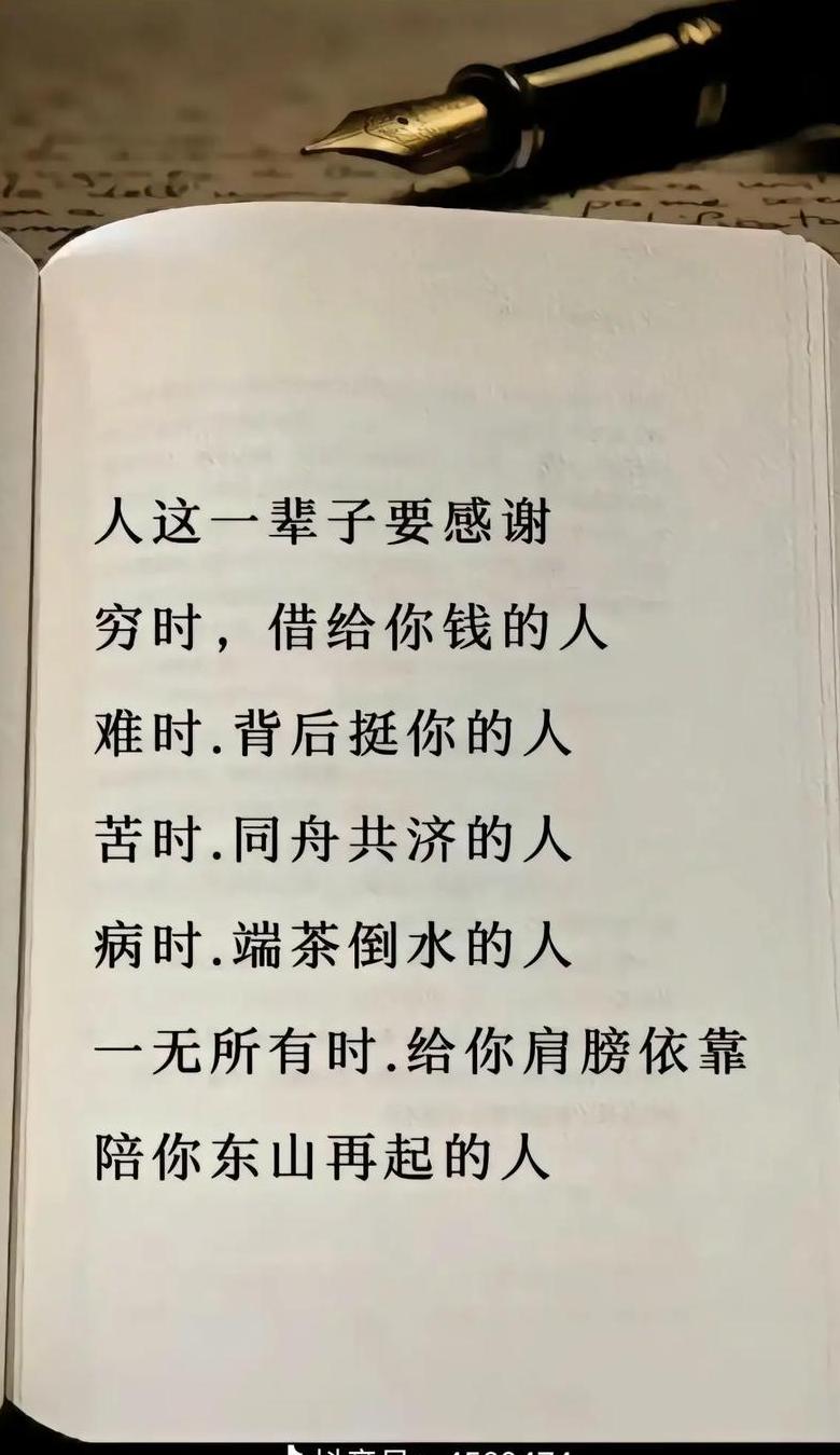 感人至深：精选感恩句子集锦