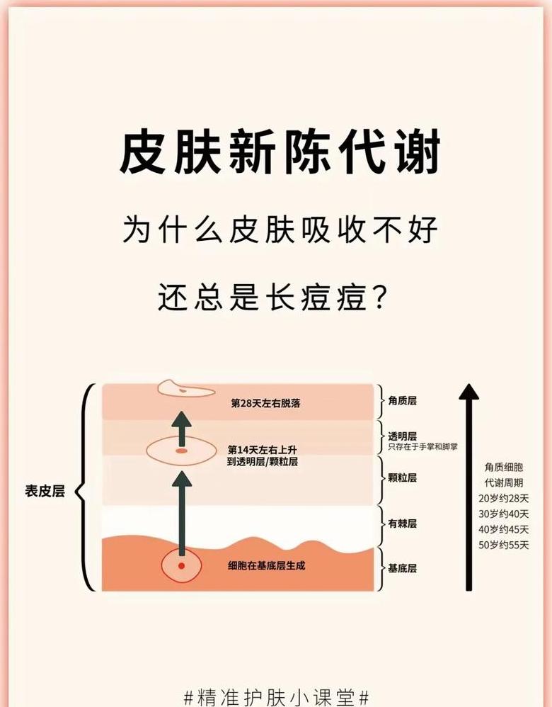 5招助你提升皮肤新陈代谢，焕发健康光彩