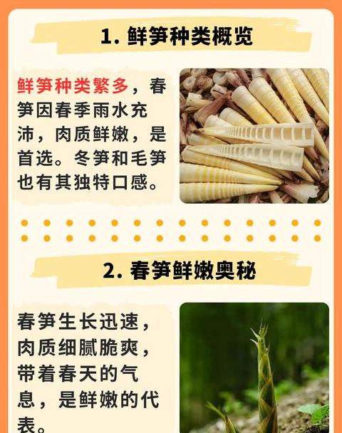 酸笋与牛奶：食用禁忌与搭配建议