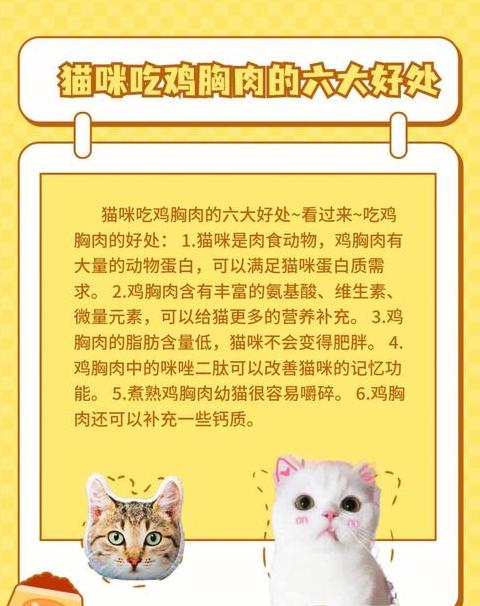 猫咪肉品处理与食用指南