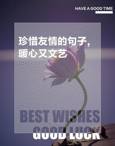 珍惜友谊唯美短句盘点