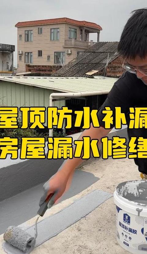 屋顶漏水修复技巧全解析