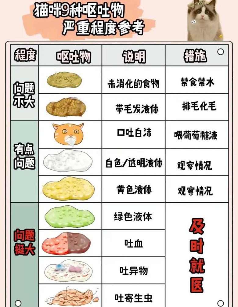 猫吃猫粮呕吐原因分析及应对措施
