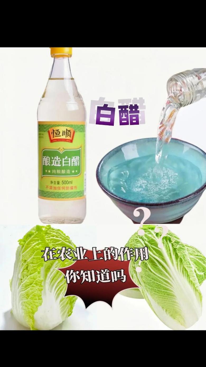 去腥秘籍：料酒还是白醋？调味技巧大揭秘