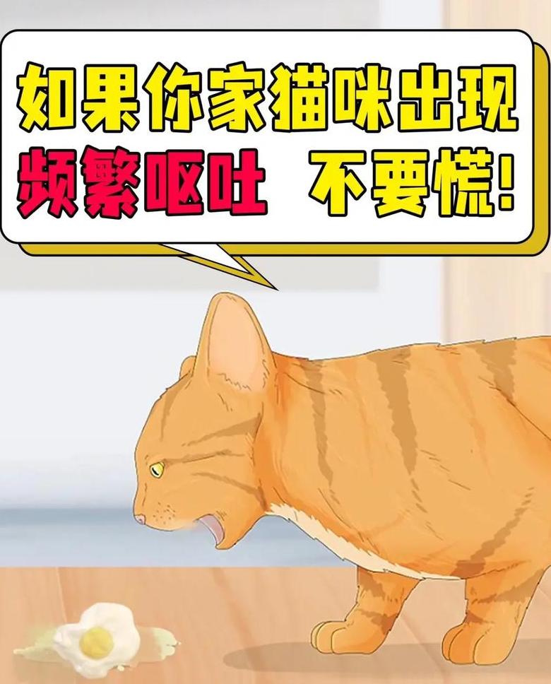 猫咪吐猫粮？四大原因及处理方法！