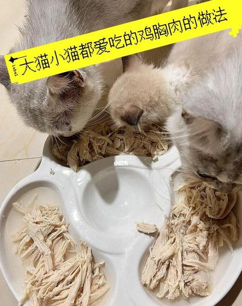 猫咪鸡胸肉煮熟时间及注意事项