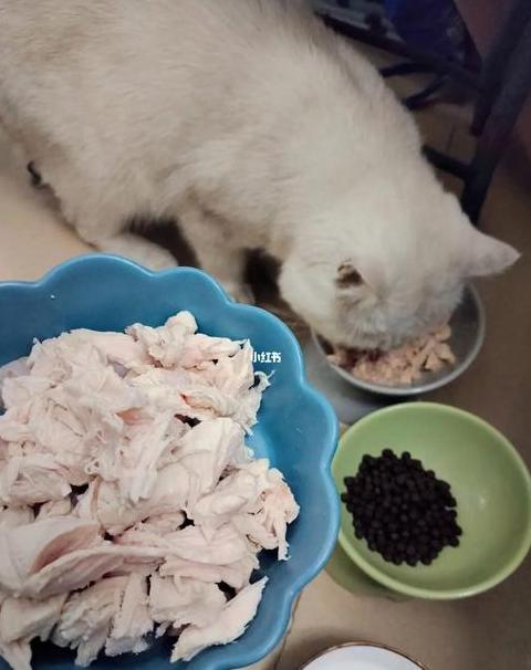猫吃了生的鸡胸肉会怎么样