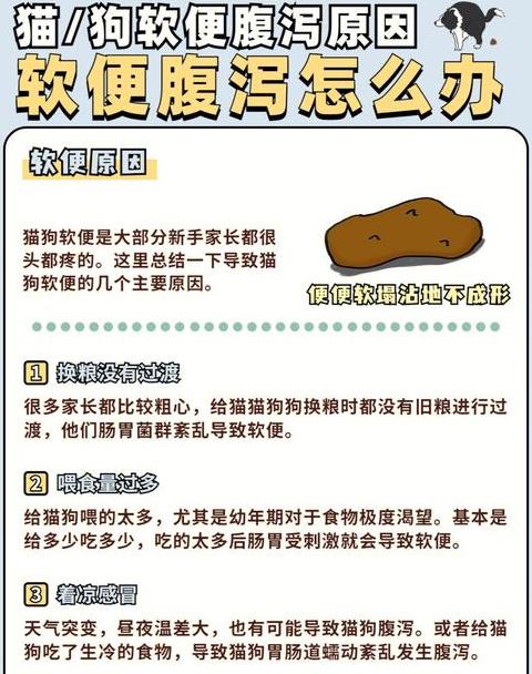 缓解冷腹泻：预防与改善方法