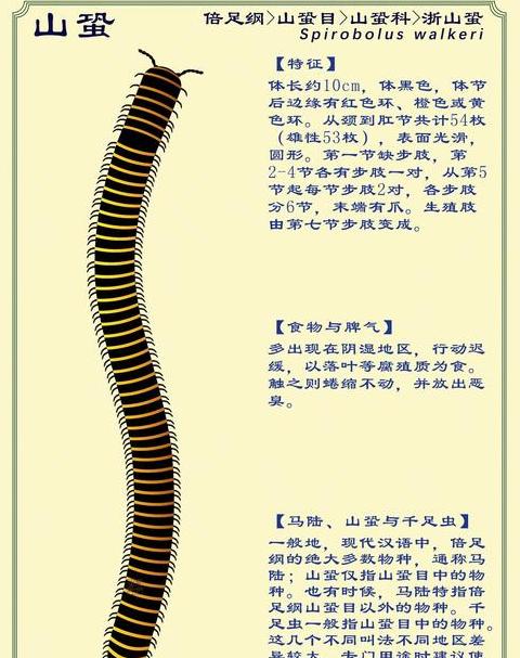 揭秘倏字：读音、含义及用法详解
