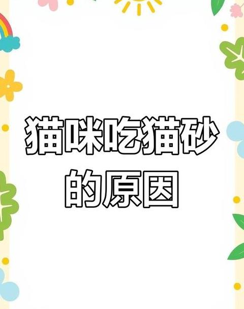 猫咪误食猫砂的解决方法与预防技巧