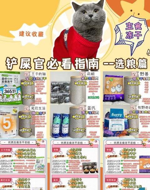 主食冻干到底有啥好处呢