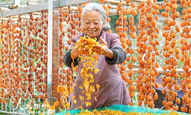 春节挂灯笼趣事：传承与创新