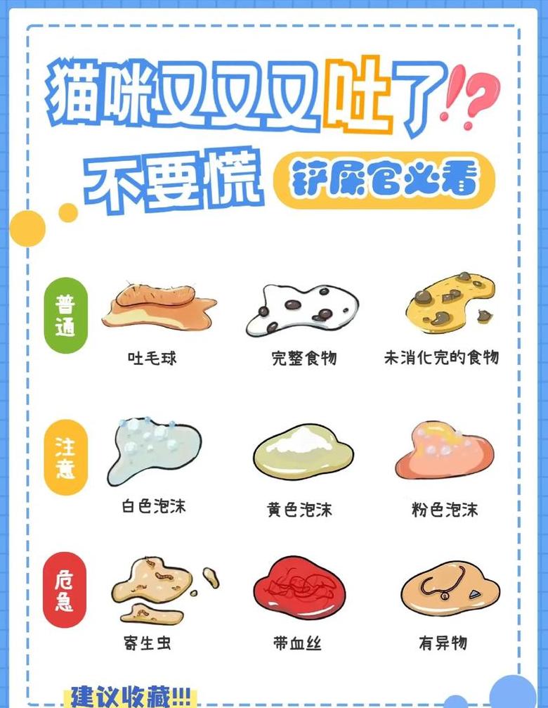 猫咪误食异物呕吐处理指南及观察期