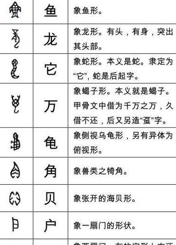 汉字甲的结构与部首解析