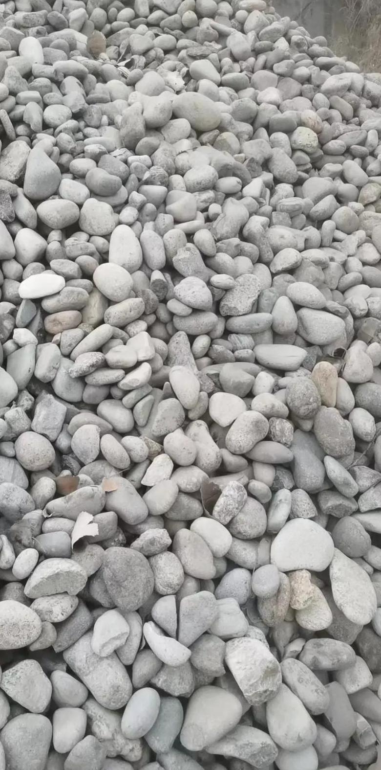 白灰土和水泥土哪个成本高