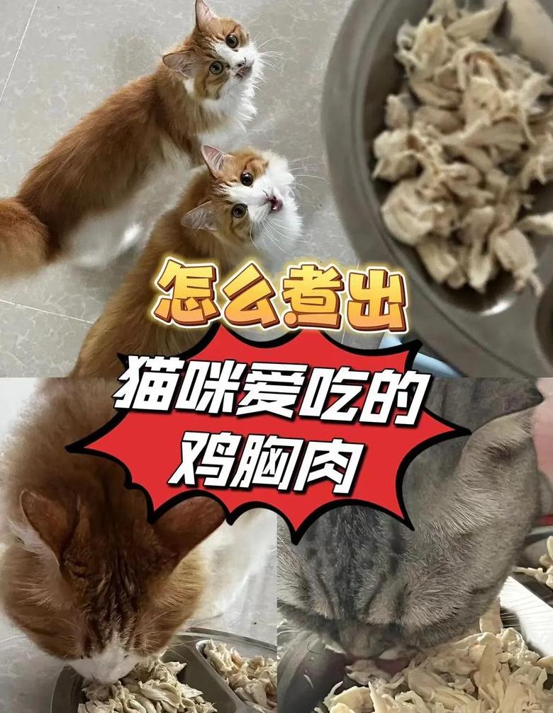 猫咪吃冻干鸡胸肉的好处和坏处
