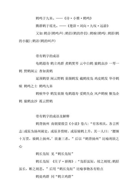 鹤字成语：探寻文化中的长寿与优雅象征