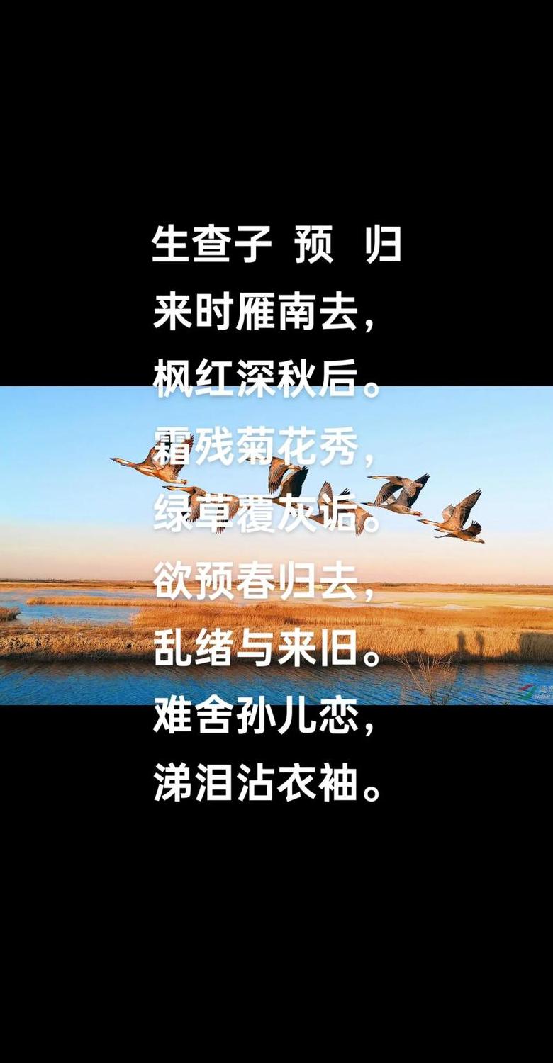 静女赏析误区揭秘：这首诗的误解解析
