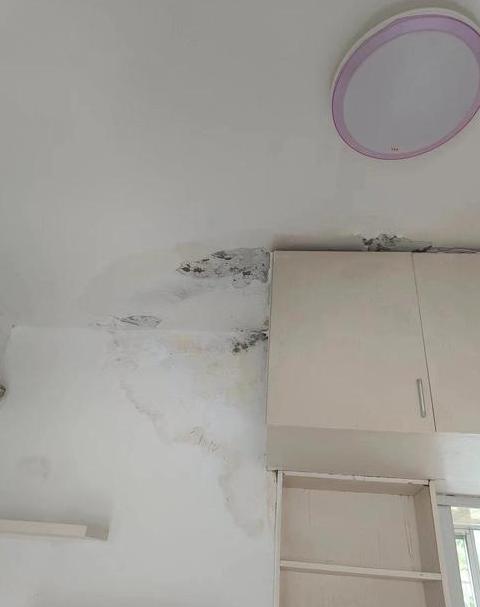 房子漏水了把楼下泡了怎么处理