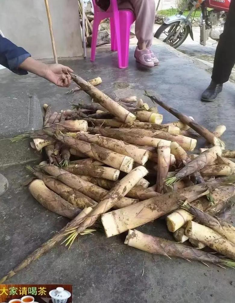 竹笋去苦味攻略：泡煮腌蒸，美味竹芽轻松实现