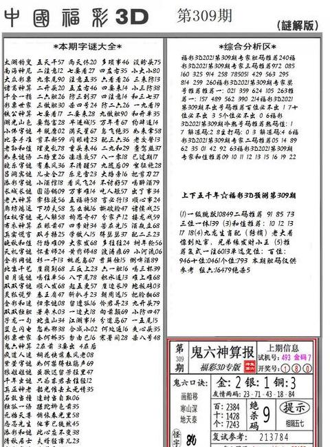 趣味谜语挑战：谜底揭晓