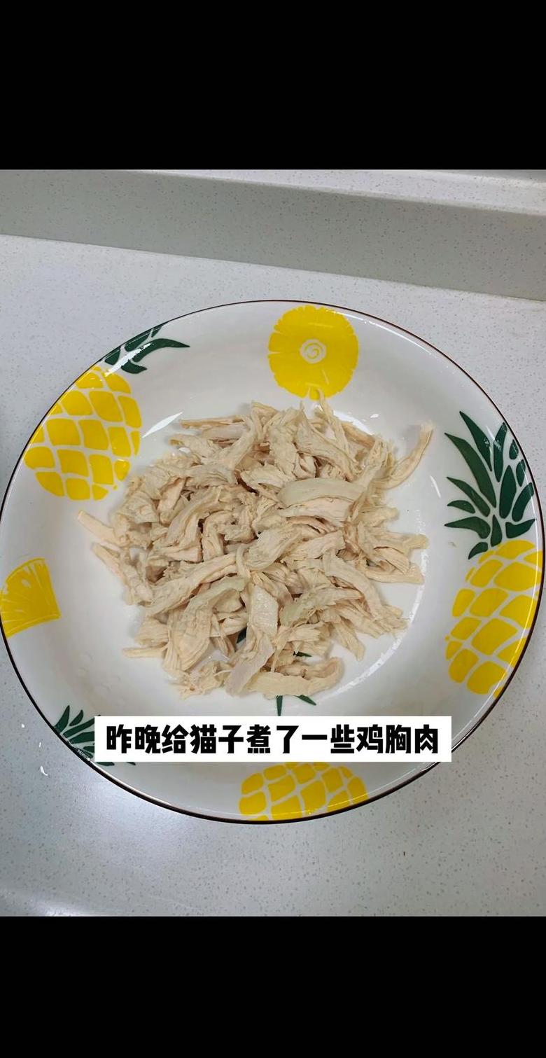 鸡胸肉给猫煮多长时间合适？