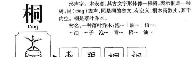 桐字成语：探寻桐意，解读古代权威与诚信象征