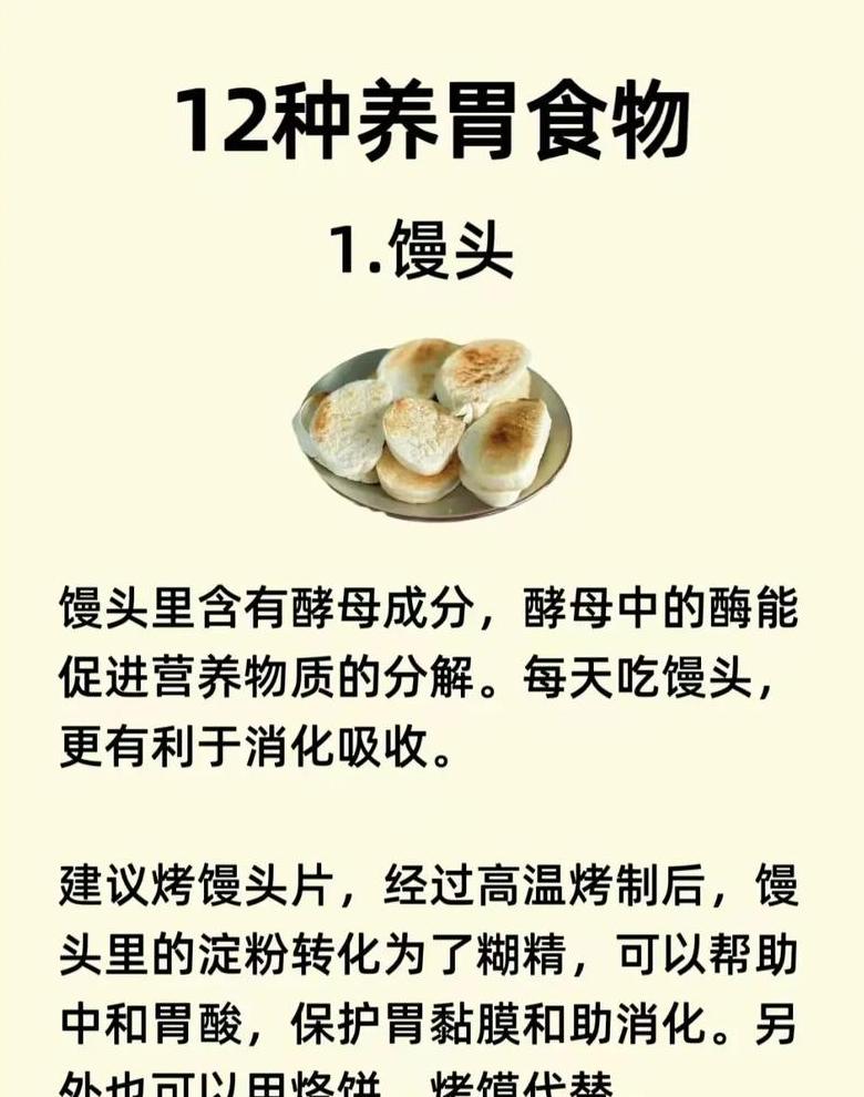 养胃食谱：10款最佳养胃菜肴推荐