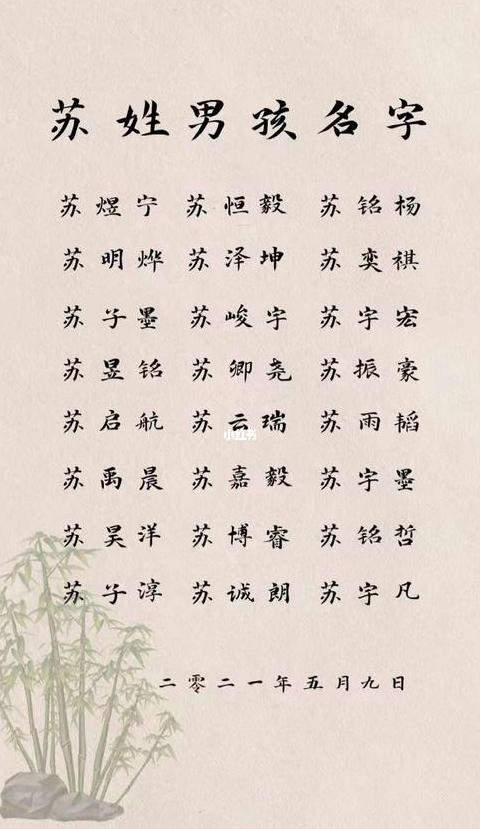 苏姓男孩好听名字推荐大全